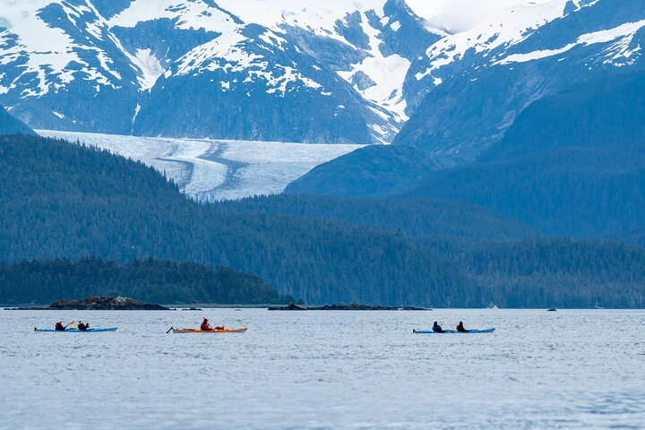 Juneau Shore Excursion: Paddle with Whales Kayak Adventure - Photo 1 of 7